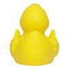 Canard de course