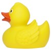 Canard de course