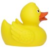 Canard de course