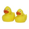 Canard de course