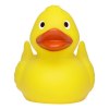 Canard de course MBW