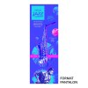 Affiche poster standard 400x600 - impression  recto sur 200gr