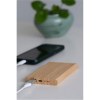 Powerbank BAMBOO EVOLUTION