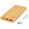 Batterie de secours Tulda de 10,000 mAh en bambou