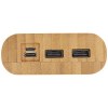 Batterie de secours Tulda de 20,000 mAh en bambou