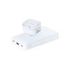 Power Bank - Barry