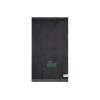 VINGA Serviette Birch 40x70