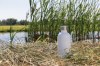 Bouteille pour boisson gazeuse en acier recyclé RCS