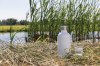 Bouteille pour boisson gazeuse en acier recyclé RCS