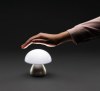 Lampe de table rechargeable par USB en plastique RCS Luming