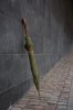 Parapluie 23 en rPET AWARE™ VINGA Bosler