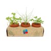 Présentoir 3 pots