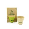 Carte pot bambou
