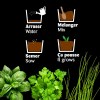 CHASSIS ZINC 3 POTS AROMATES BIO