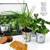 CHASSIS ZINC 3 POTS AROMATES BIO