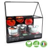 CHASSIS ZINC 3 POTS TOMATES BIO