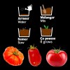 CHASSIS ZINC 3 POTS TOMATES BIO