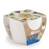 KIT DE PLANTATION EDELWEISS CÉRAMIQUE BLANC 80MM