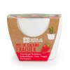 KIT DE PLANTATION FRAISIER CÉRAMIQUE BLANC 80MM