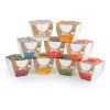 KIT DE PLANTATION PAQUERETTE BLANCHE CÉRAMIQUE BLANC 80MM