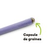 CRAYON A PLANTER GRAINES DE CAMOMILLE
