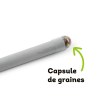 CRAYON A PLANTER GRAINES DE BASILIC