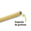 CRAYON A PLANTER GRAINES DE MOUTARDE