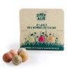 SET 3 BOMBE DE FLEURS - SEMER POUR AGIR
