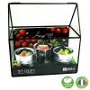 CHASSIS ZINC 3 POTS FRAISIERS BIO