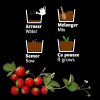 CHASSIS ZINC 3 POTS FRAISIERS BIO