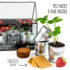 CHASSIS ZINC 3 POTS FRAISIERS BIO