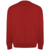 Sweater Batian en coton organique unisexe