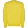 Pull ras du cou Clasica unisexe