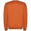 Pull ras du cou Clasica unisexe