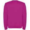 Pull ras du cou Clasica unisexe
