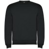 Pull ras du cou Clasica unisexe