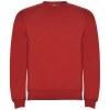 Pull ras du cou Clasica unisexe