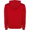 Sweat à capuche Urban pour homme