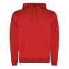 Sweat à capuche Urban pour homme