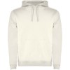 Sweat à capuche Urban pour homme