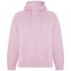 Sweat à capuche Vinson en coton organique unisexe