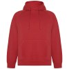 Sweat à capuche Vinson en coton organique unisexe