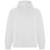 Sweat à capuche Vinson en coton organique unisexe