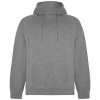 Sweat à capuche Vinson en coton organique unisexe