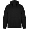 Sweat à capuche Vinson en coton organique unisexe