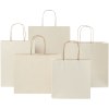 Sac en papier fabriqué à partir d déchets agricoles 150 g/m2 avec poignées torsadées, petite taille