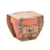 MINT POT - Pot avec graines de menthe