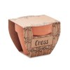 CRESS POT - Pot avec graines de cresson