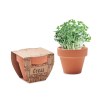 CRESS POT - Pot avec graines de cresson