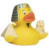 Canard voyage